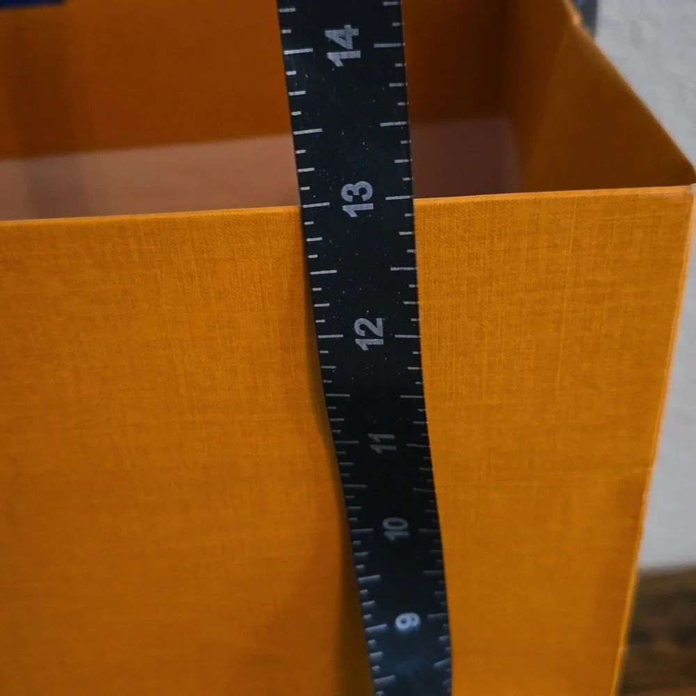 LOUIS VUITTON BAG